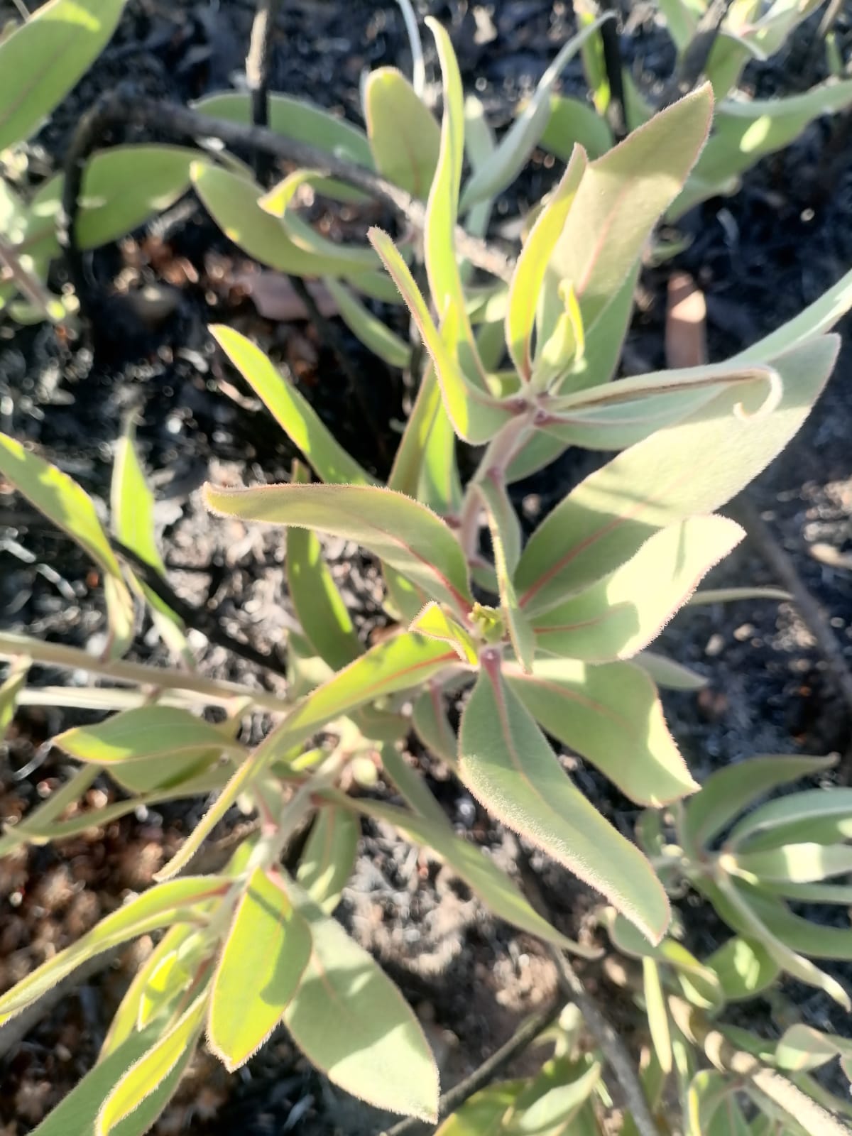 WhatsApp Image 2024-09-16 at 18.57.24_d9d14c7e