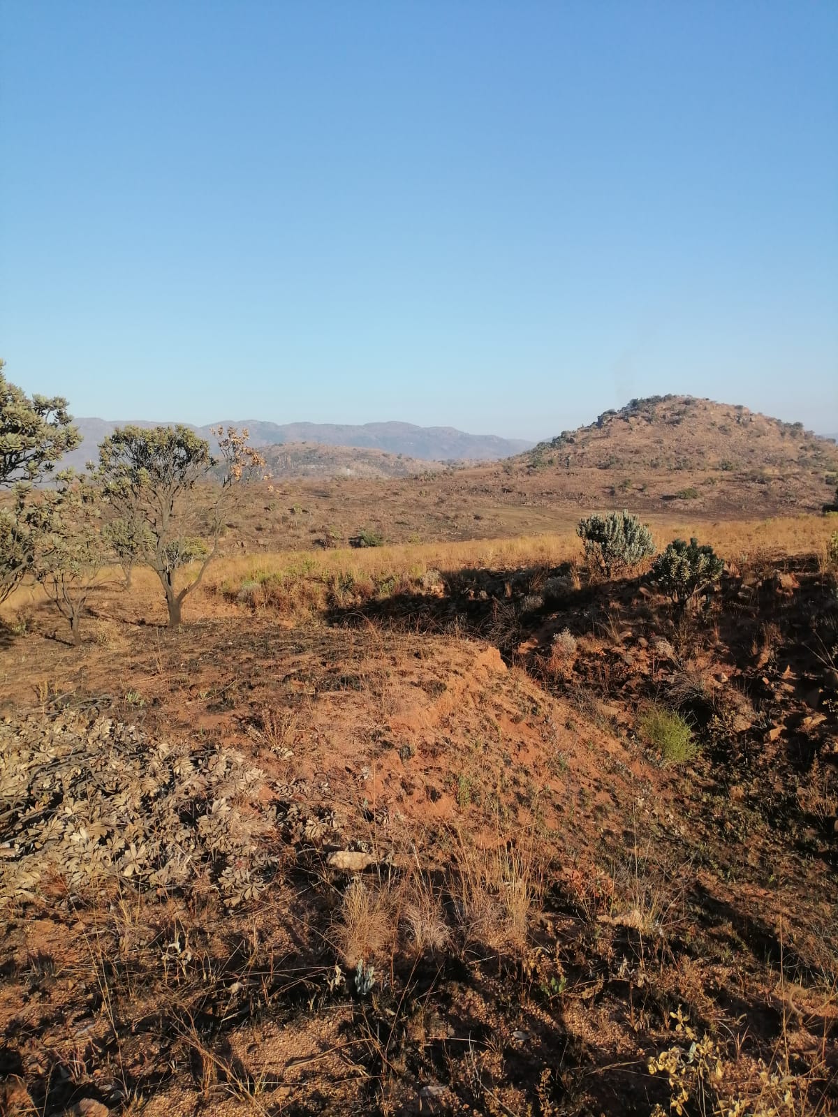 WhatsApp Image 2024-09-16 at 18.57.35_f938ed8d