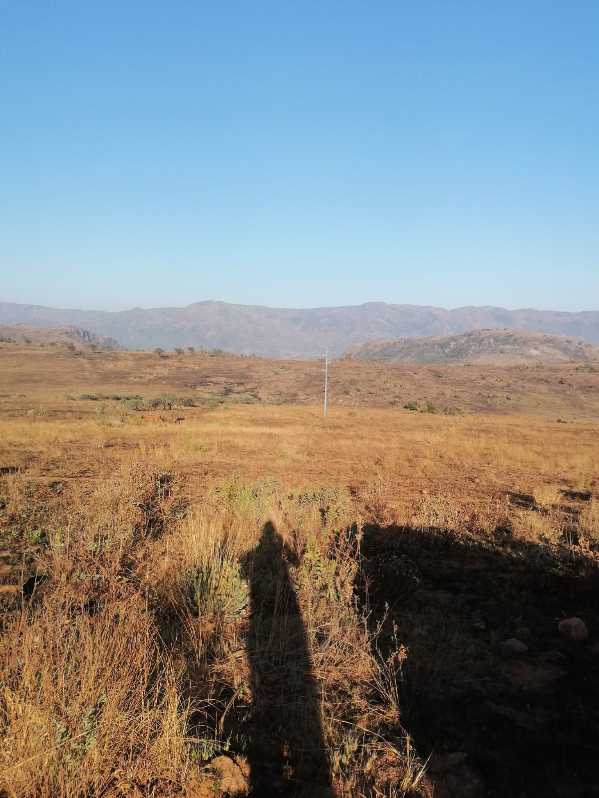 WhatsApp Image 2024-09-16 at 18.57.36_76c2140a