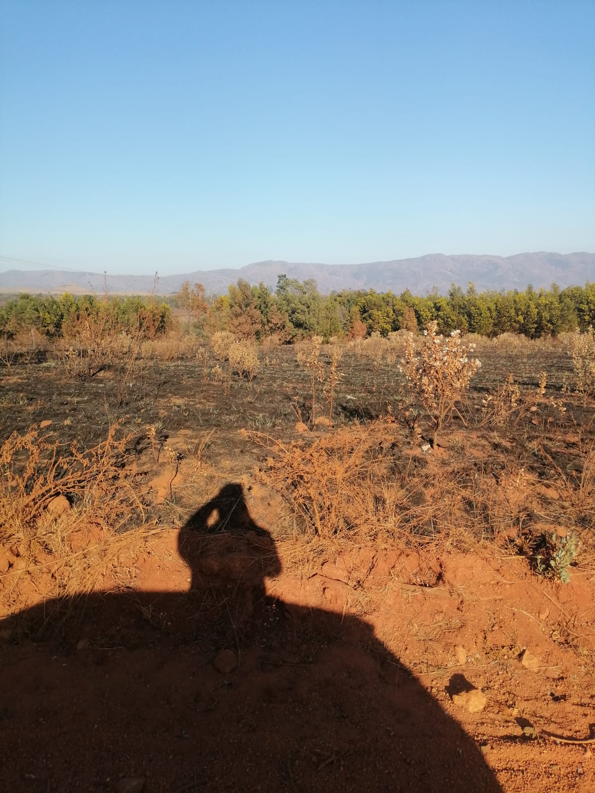 WhatsApp Image 2024-09-16 at 18.57.38_4b8187cd