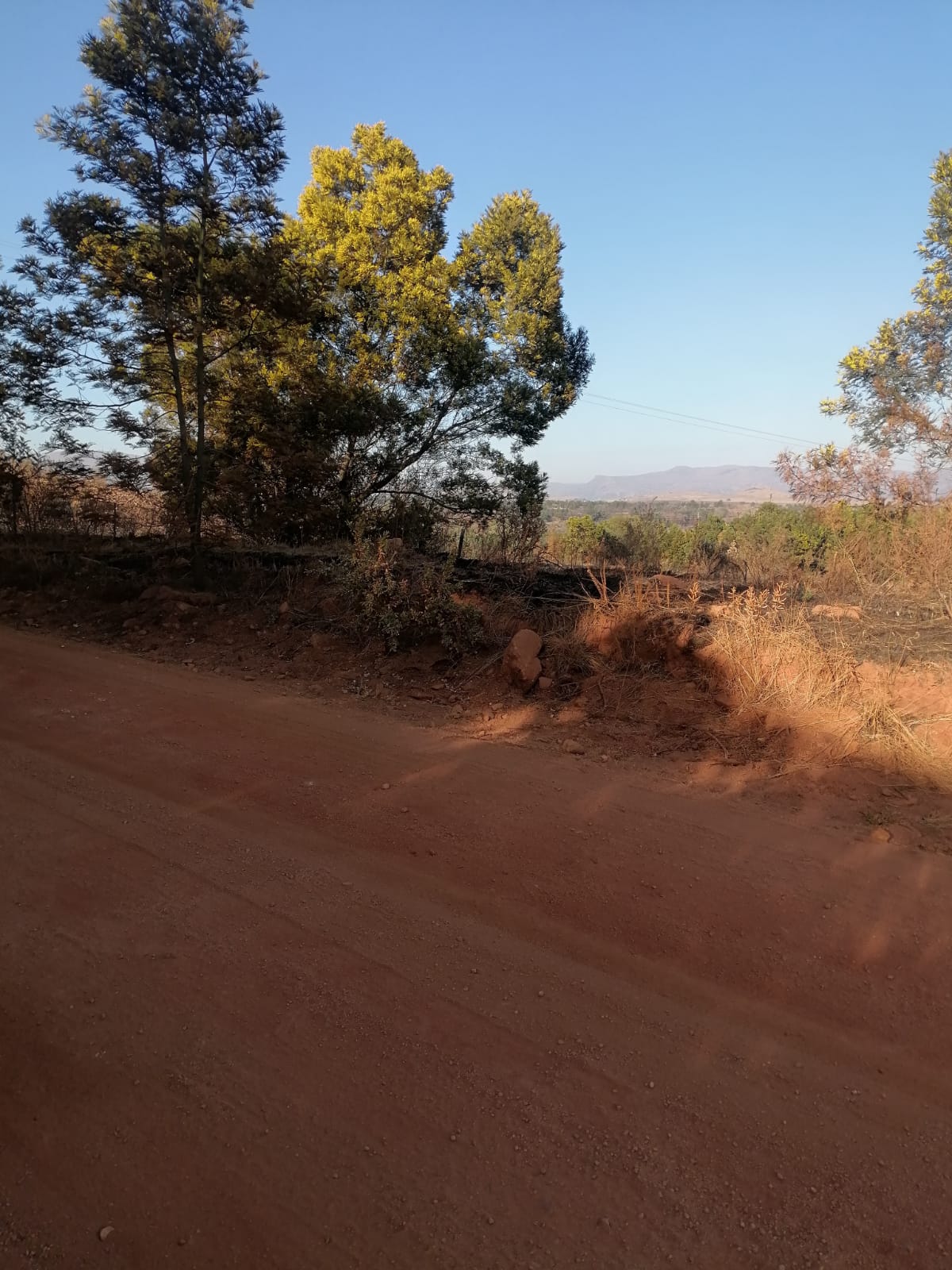 WhatsApp Image 2024-09-16 at 18.57.40_17a4888a