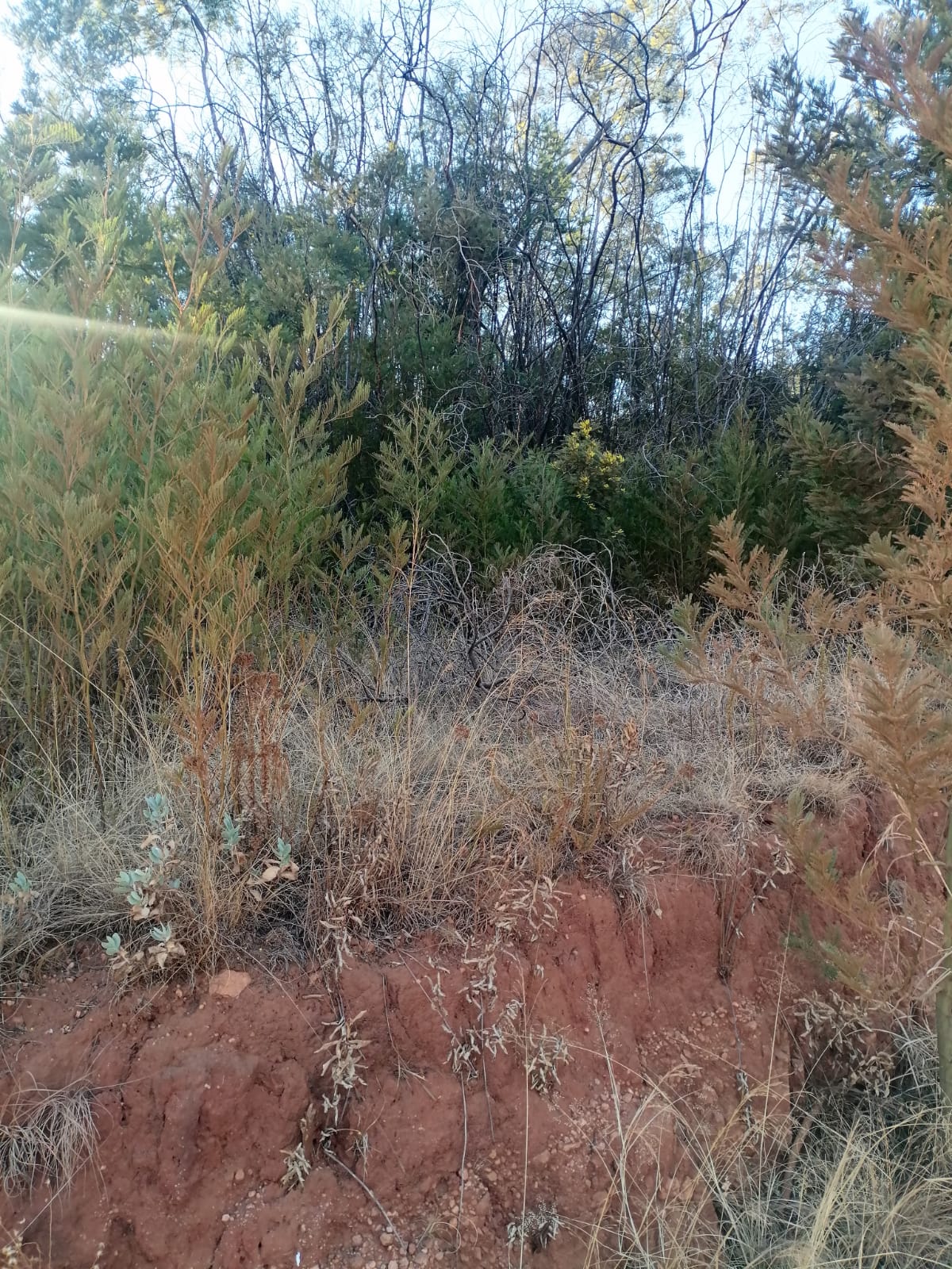 WhatsApp Image 2024-09-16 at 18.57.40_3596cd97