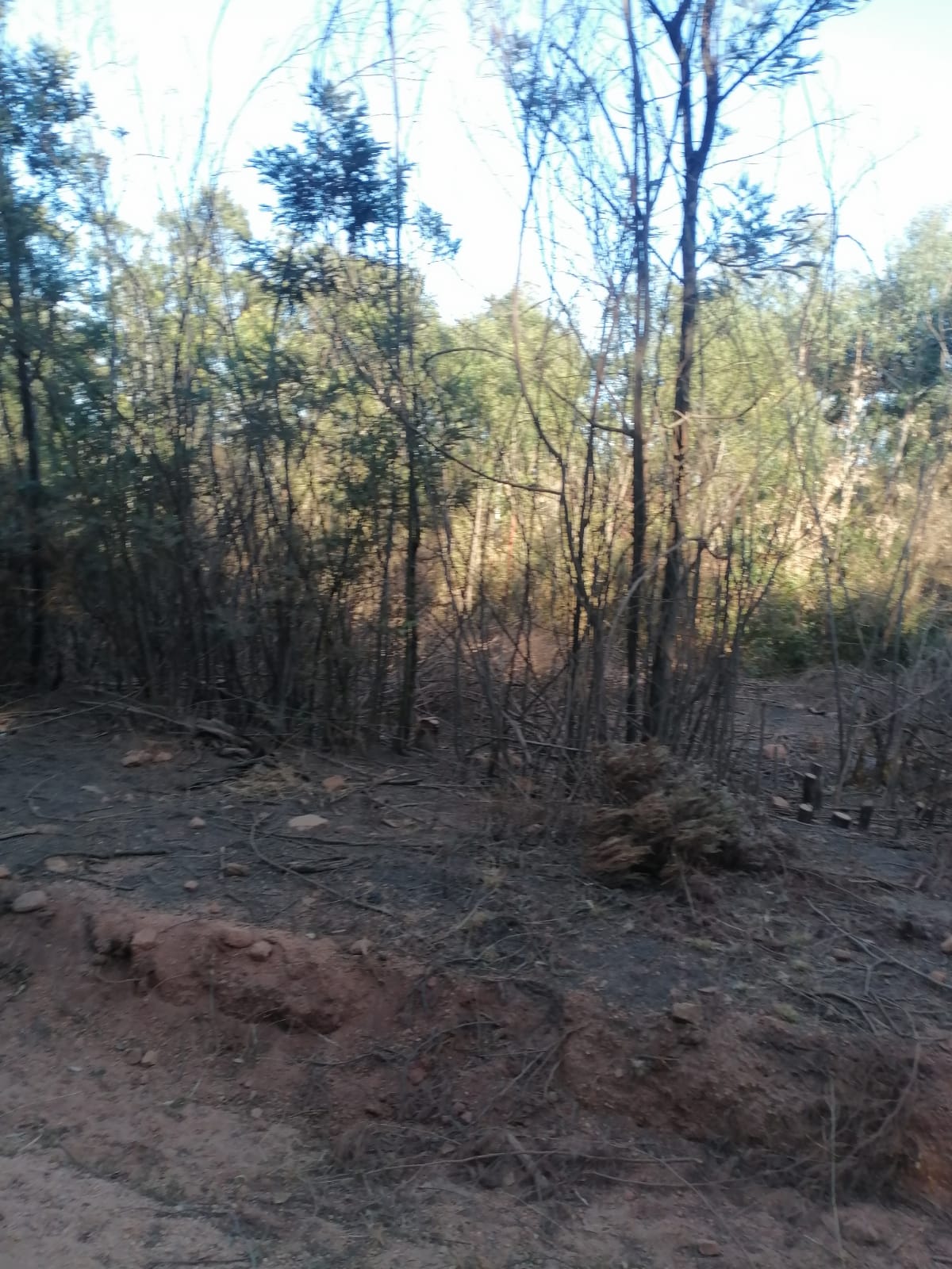 WhatsApp Image 2024-09-16 at 18.57.42_4fb64572