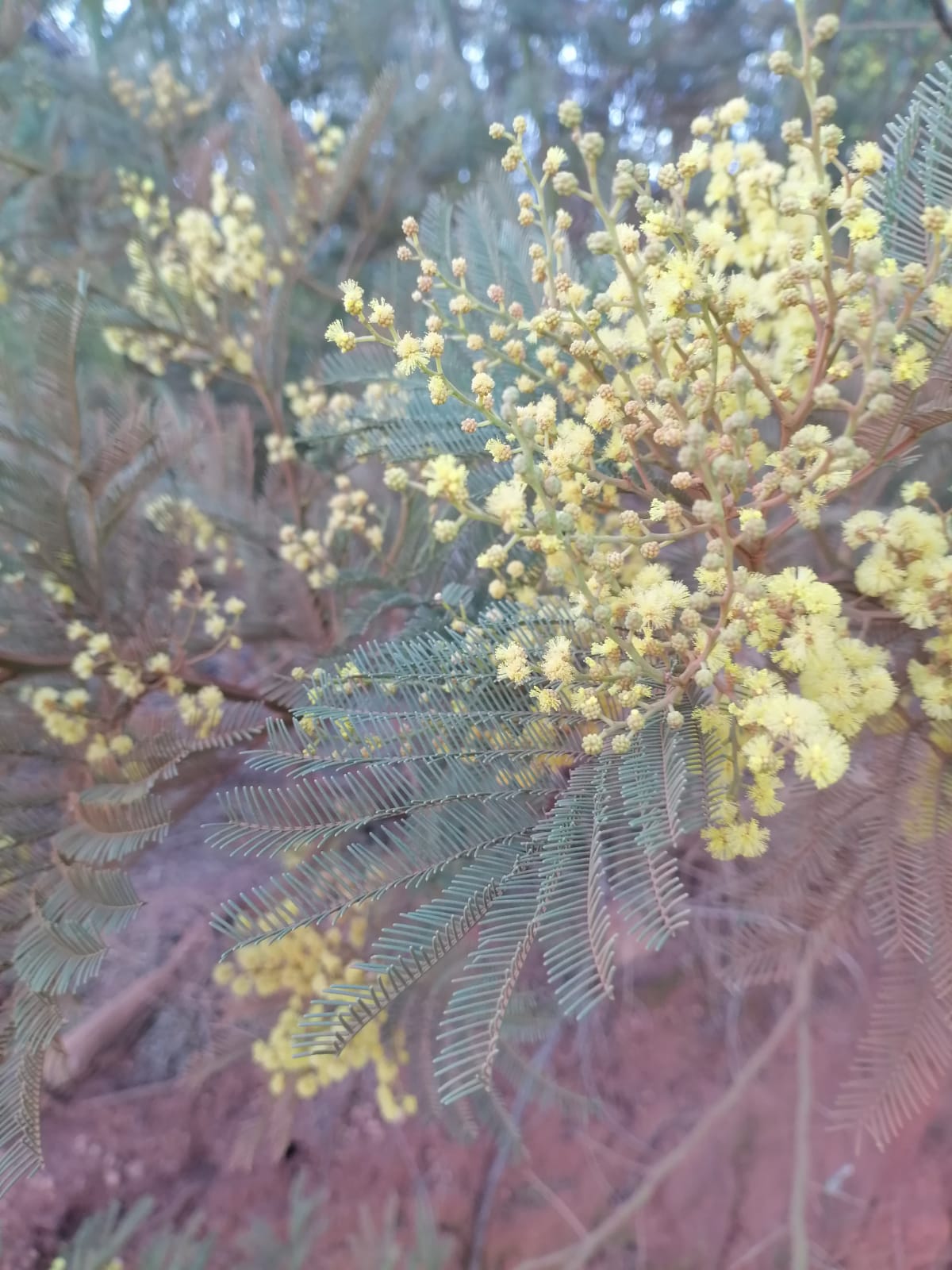 WhatsApp Image 2024-09-16 at 18.57.44_88cab6ab