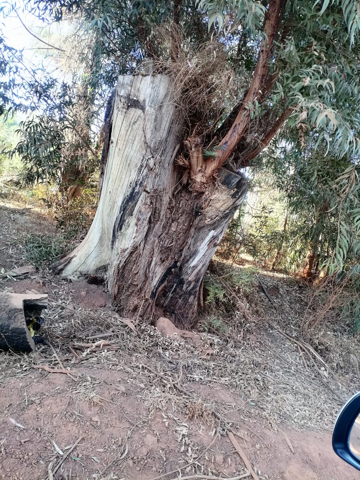 WhatsApp Image 2024-09-16 at 18.57.59_fc5d2d80