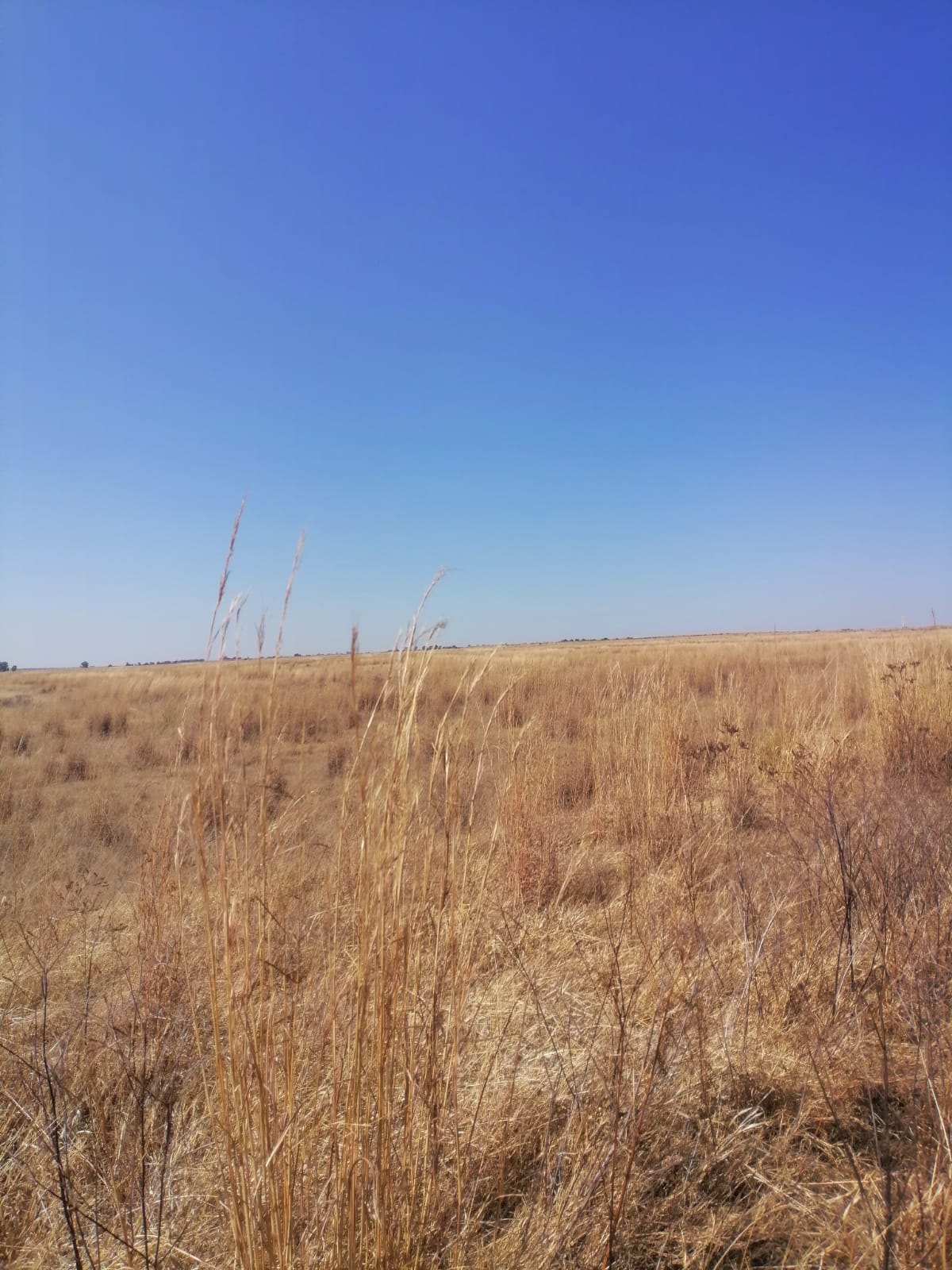 WhatsApp Image 2024-09-16 at 18.58.16_96f802eb