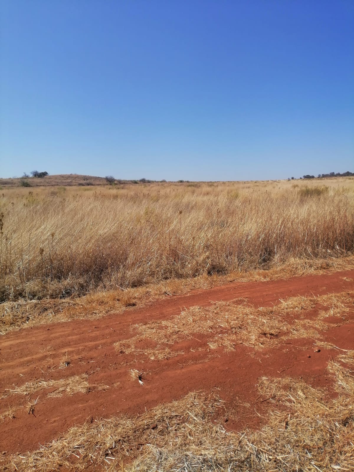 WhatsApp Image 2024-09-16 at 18.58.19_c21be5fb