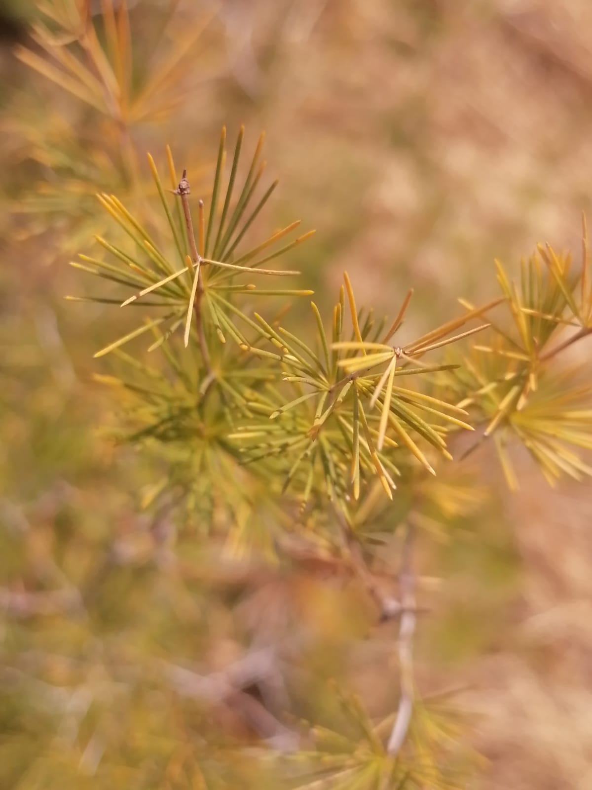 WhatsApp Image 2024-09-16 at 18.58.22_f6ef2c3c