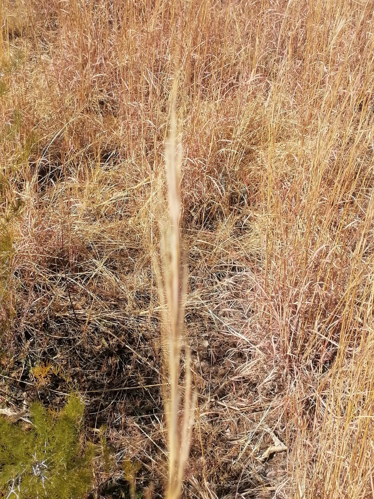 WhatsApp Image 2024-09-16 at 18.58.24_c5d26943