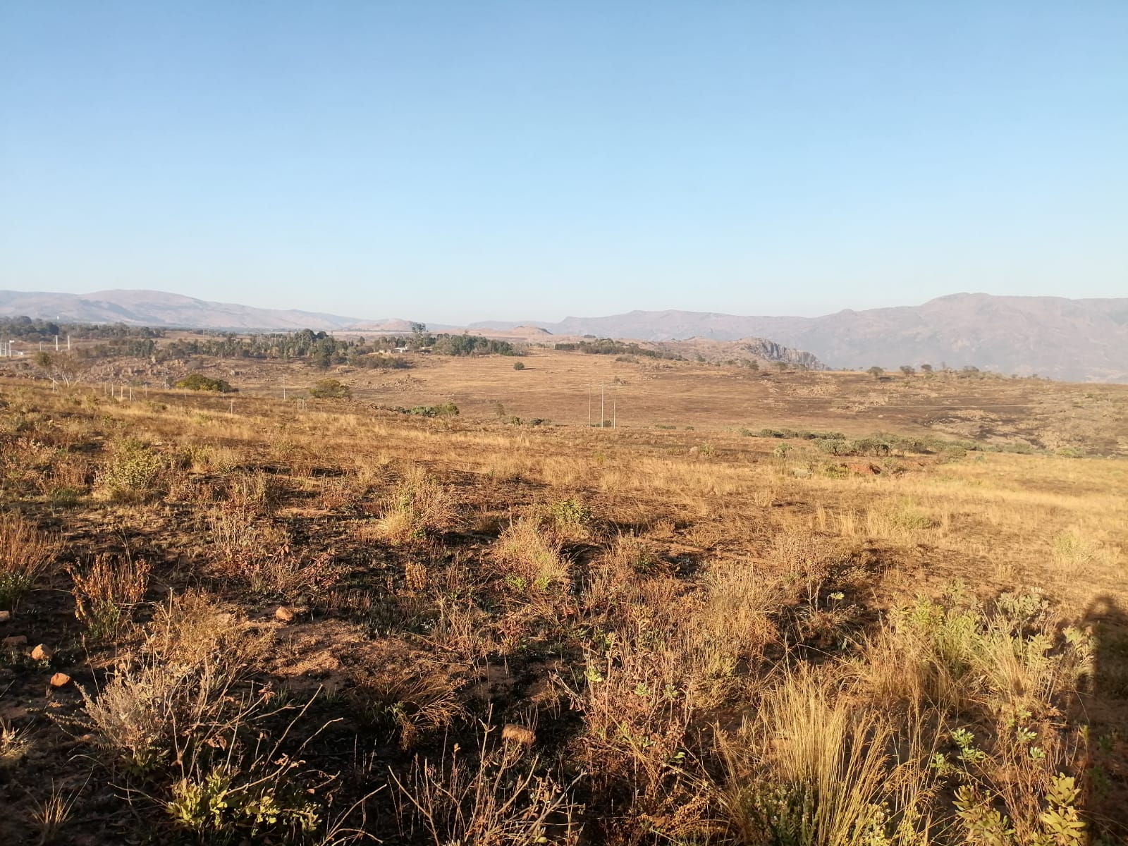 WhatsApp Image 2024-09-16 at 18.58.30_6f429aab