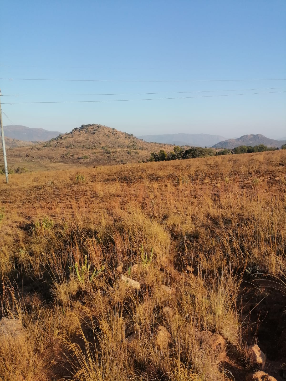 WhatsApp Image 2024-09-16 at 18.58.33_61b9a2a3