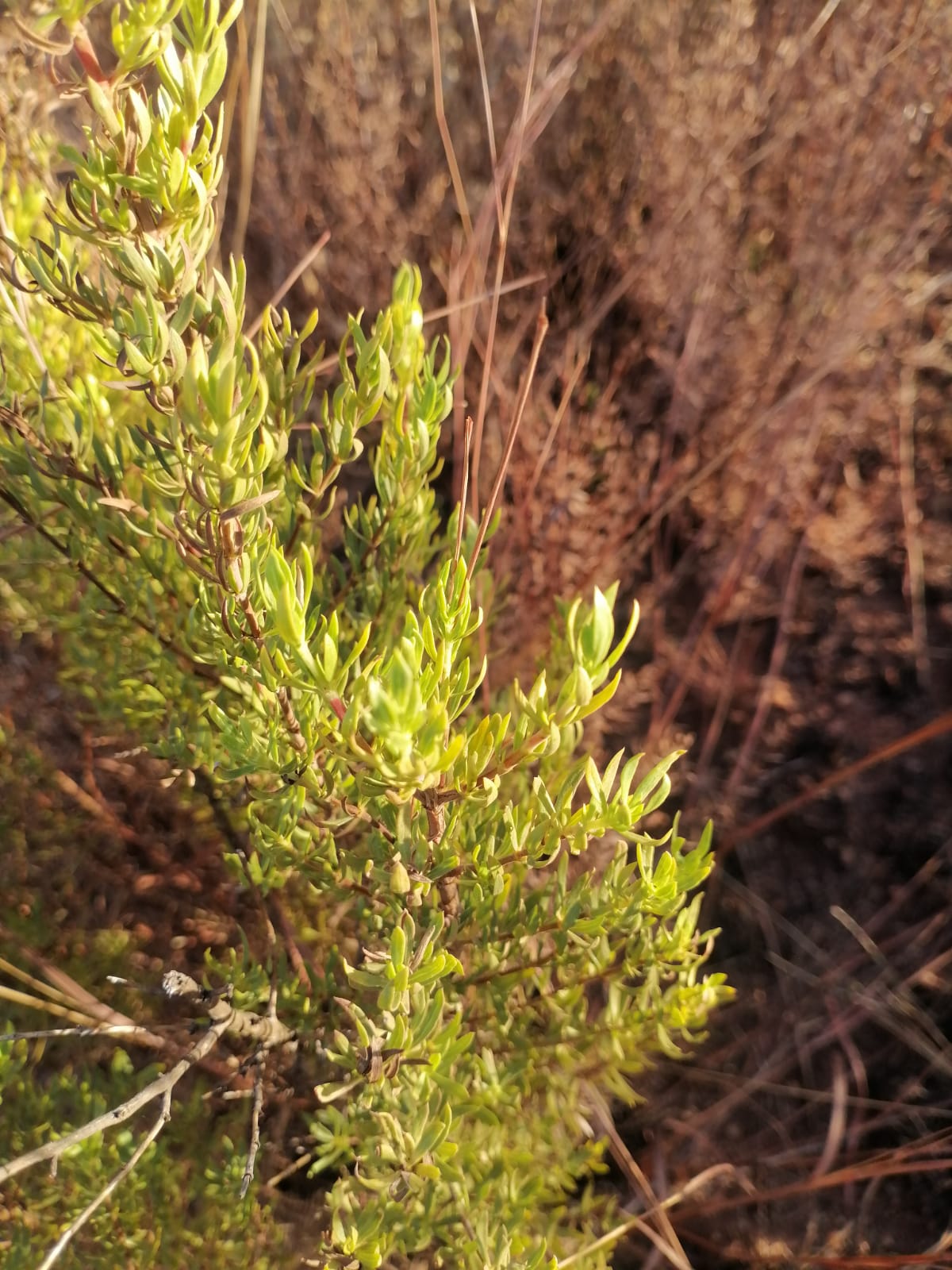 WhatsApp Image 2024-09-16 at 18.58.34_67c16c3c