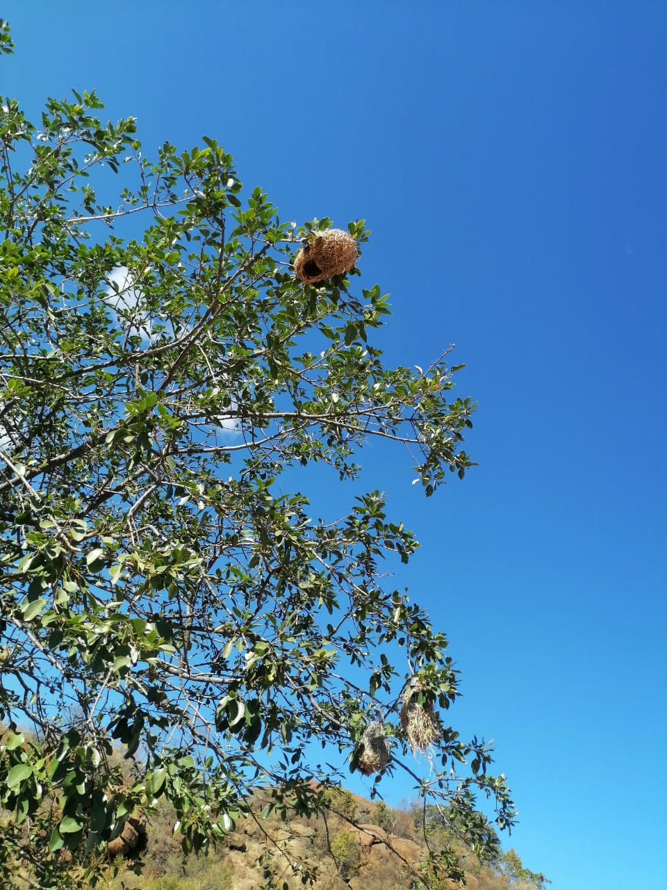 WhatsApp Image 2024-09-16 at 19.01.37_2fefac0e