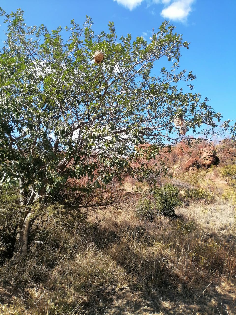 WhatsApp Image 2024-09-16 at 19.01.40_827da581