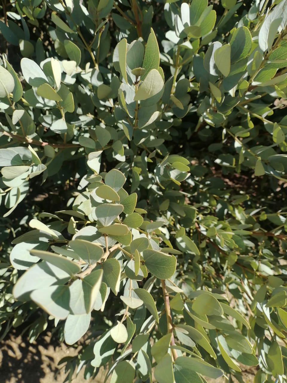 WhatsApp Image 2024-09-16 at 19.01.42_1dded38c