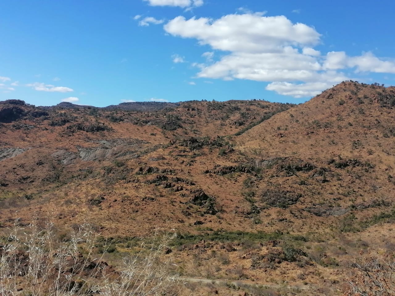 WhatsApp Image 2024-09-16 at 19.01.48_21796a2e