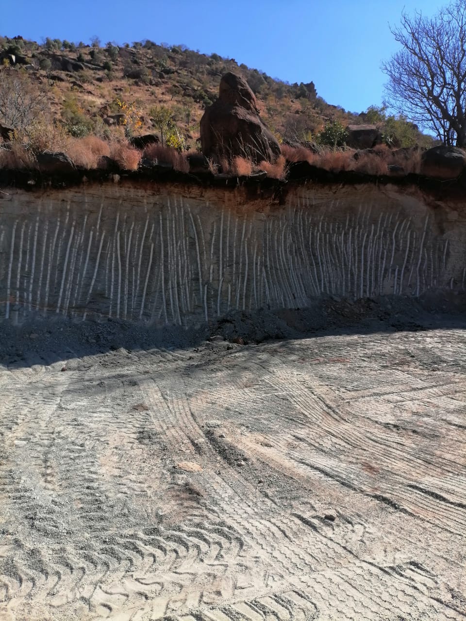 WhatsApp Image 2024-09-16 at 19.01.53_cd507db1