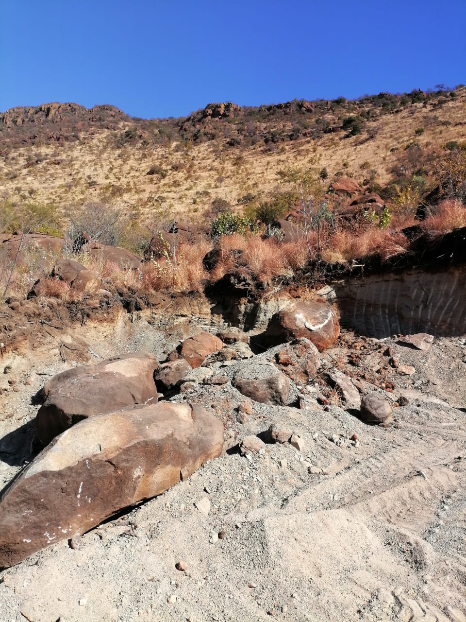 WhatsApp Image 2024-09-16 at 19.01.54_e5151970