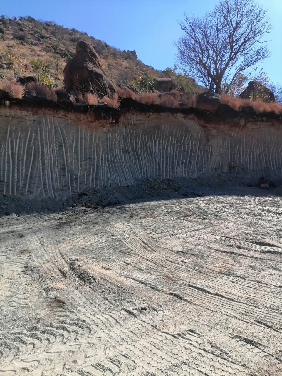 WhatsApp Image 2024-09-16 at 19.01.55_b42bf47e