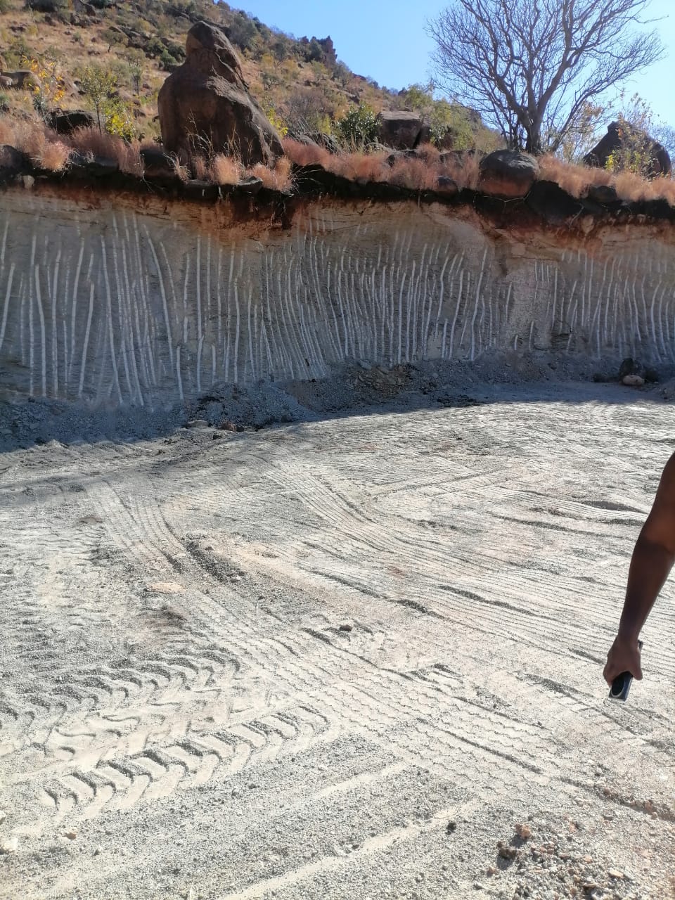 WhatsApp Image 2024-09-16 at 19.02.01_5aa158cd