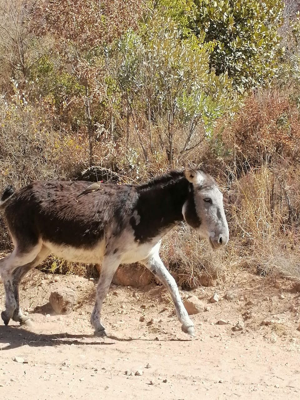 WhatsApp Image 2024-09-16 at 19.02.05_d77617ca