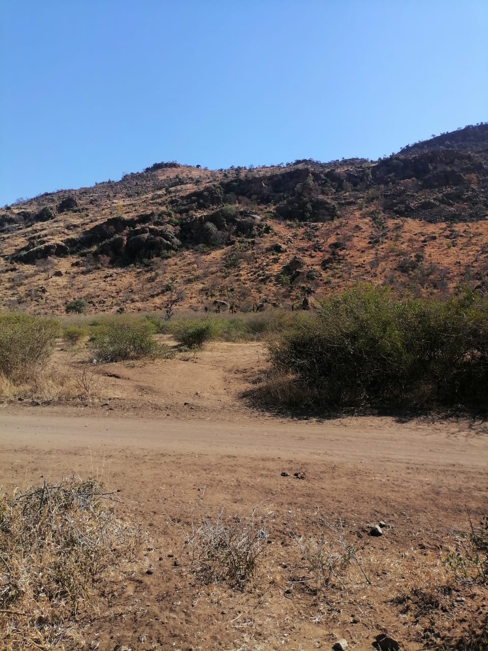 WhatsApp Image 2024-09-16 at 19.02.10_012be1bc