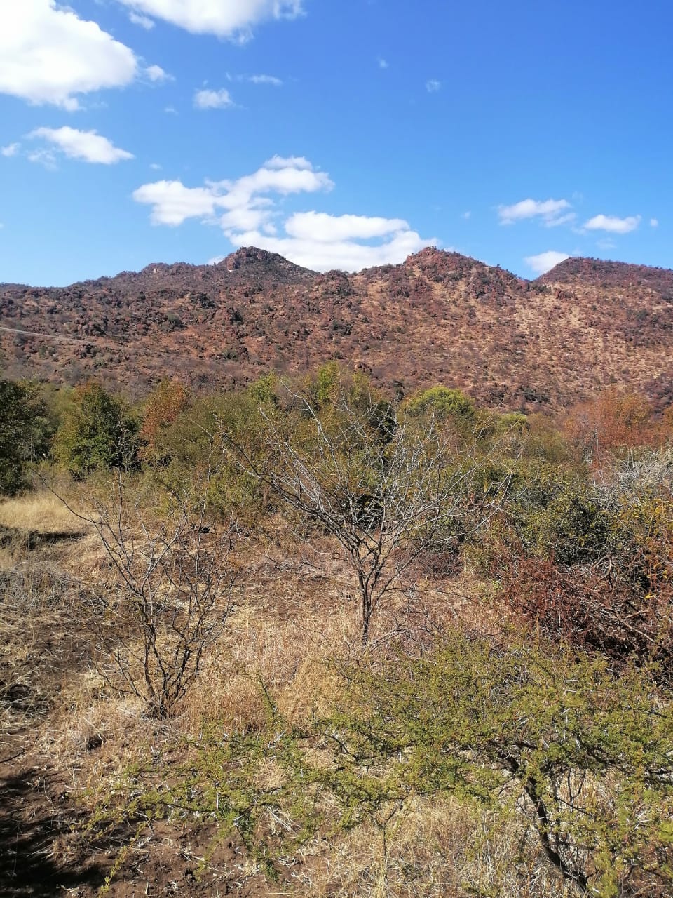 WhatsApp Image 2024-09-16 at 19.02.12_94a510e4