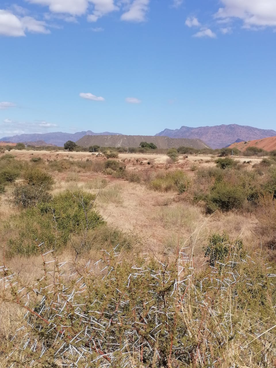 WhatsApp Image 2024-09-16 at 19.02.30_5212abe8