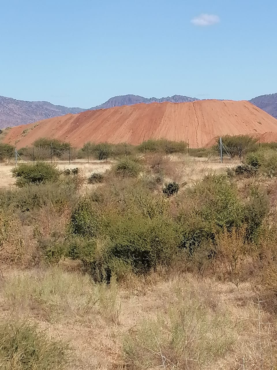 WhatsApp Image 2024-09-16 at 19.02.32_305c1e33