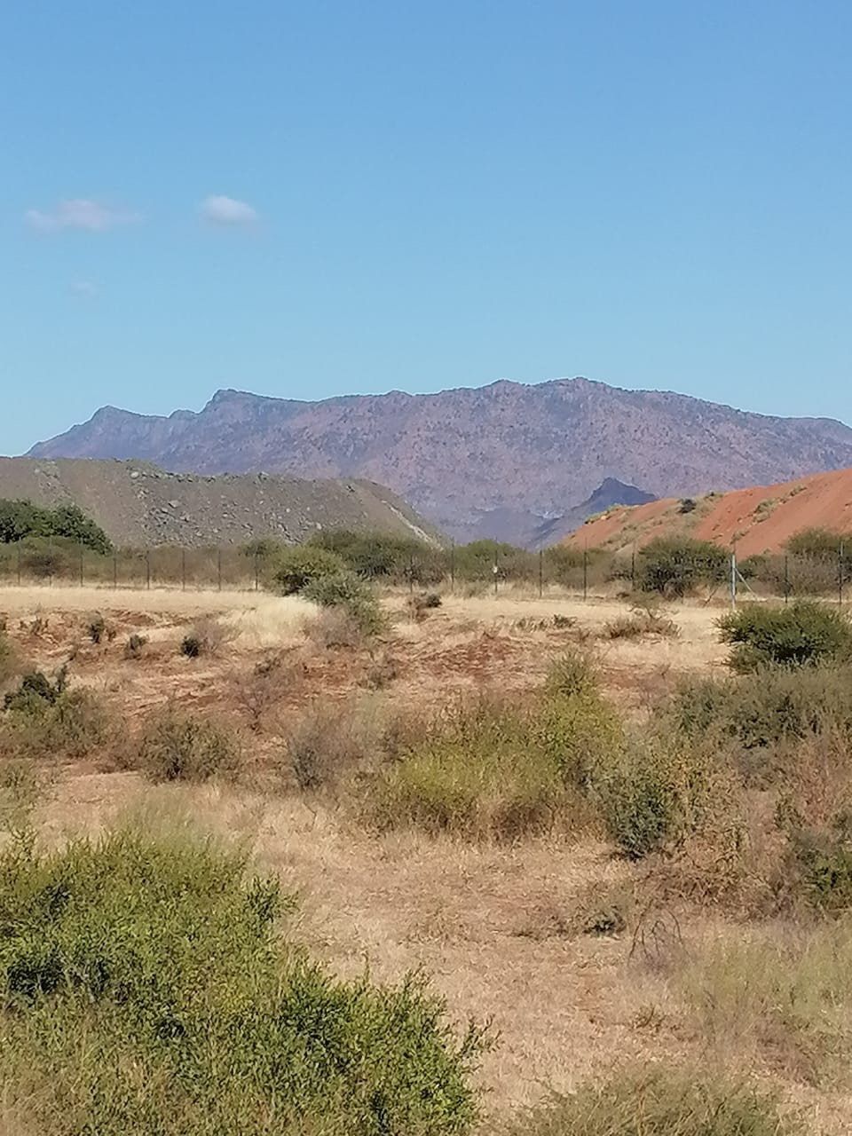 WhatsApp Image 2024-09-16 at 19.02.32_c93a9d22