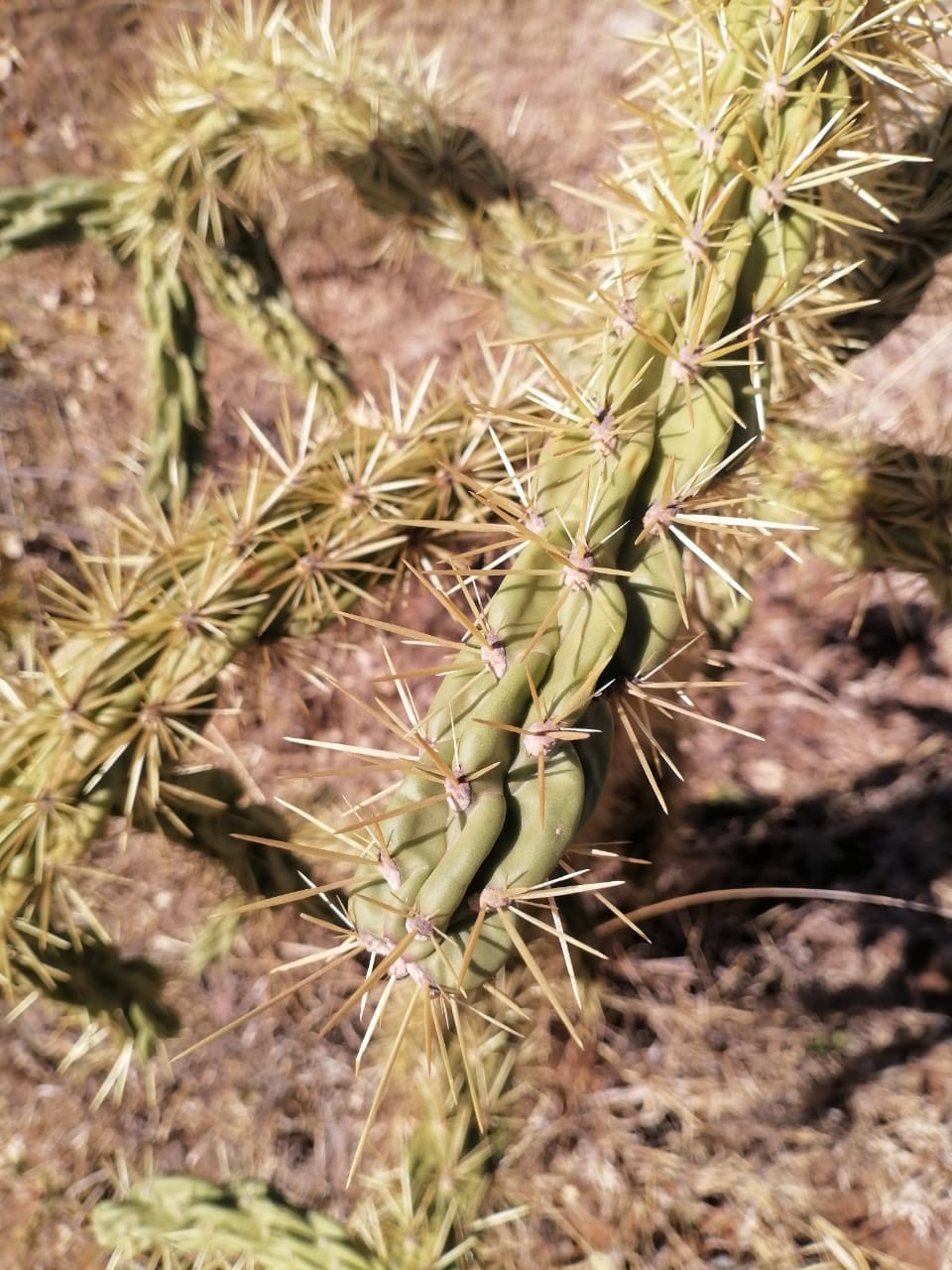 WhatsApp Image 2024-09-16 at 19.02.35_8546c082